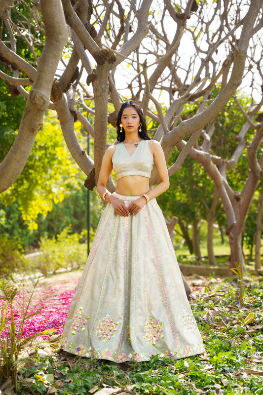 Tiana Plain Blouse Lehenga Set