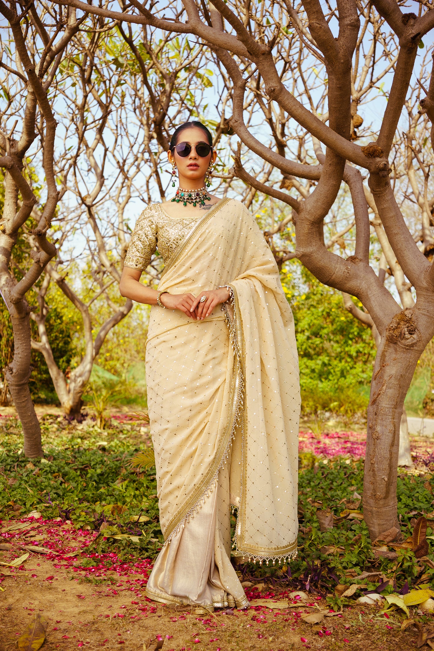 Mirror Work Blouse + Mukaish Jaal Stitched Saree