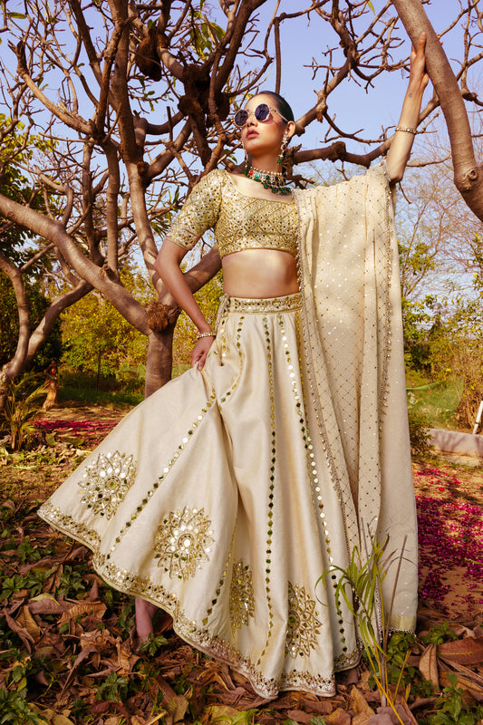 Mirror Work Lehenga + Mirror Work Blouse + Mukaish Jaal Dupatta